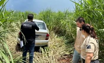 Créditos: Campo Grande News